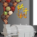 Continuous Melon Fruit Vegetable Dryer